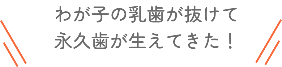 わが子の乳歯が抜けて永久歯が生えてきた！